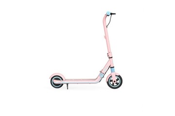 Электросамокат Ninebot eKickScooter Zing E8 по самой выгодной цене