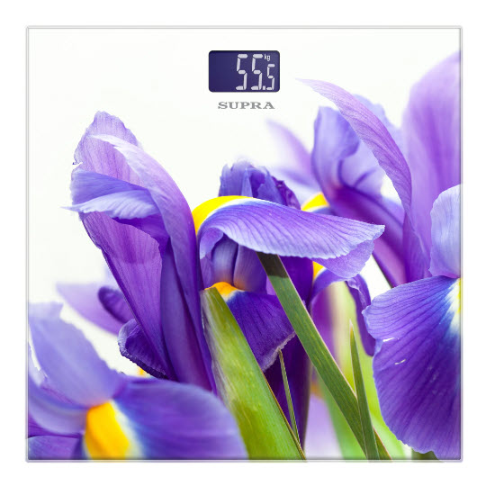 Весы электронные SUPRA BSS-2013