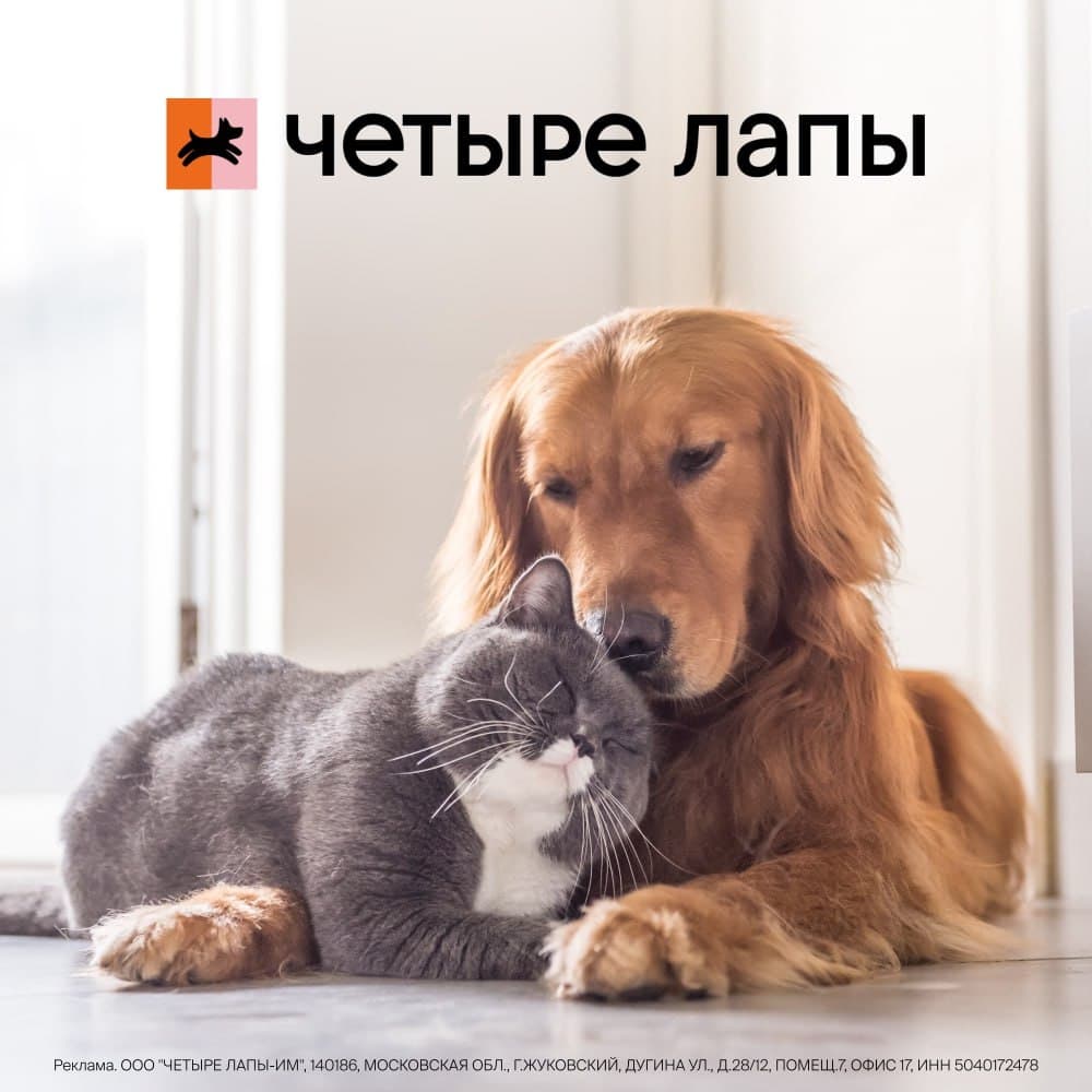 Промокод для всех пользователей магазина Четыре Лапы в октябре