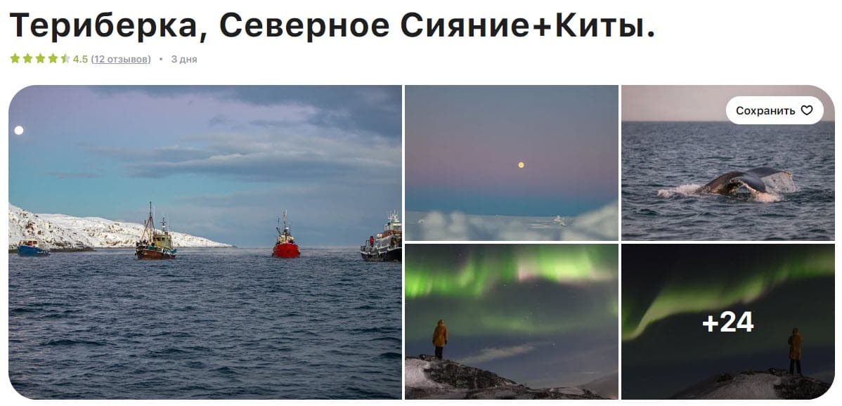 Териберка, Северное Сияние+Киты