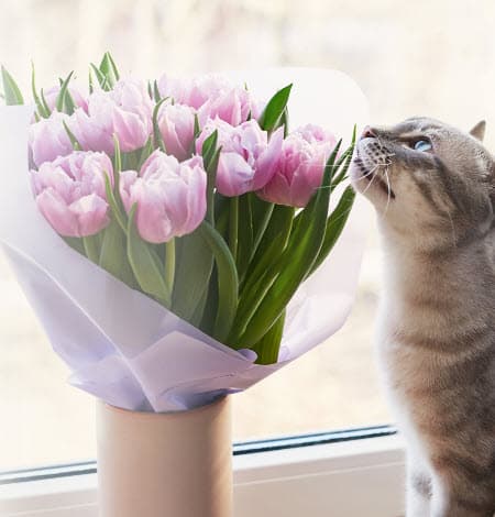 Промокод на доставку цветов в разных сервисах и магазинах